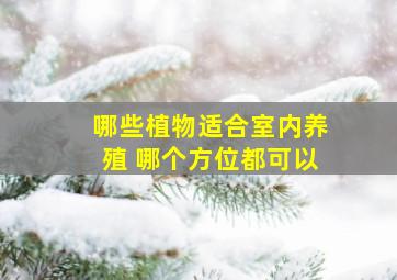 哪些植物适合室内养殖 哪个方位都可以